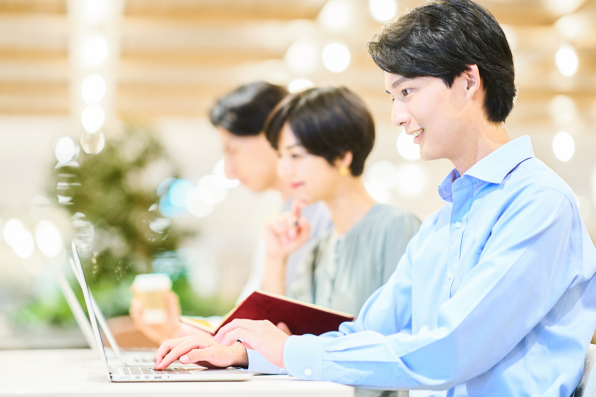 こんな方を求めています